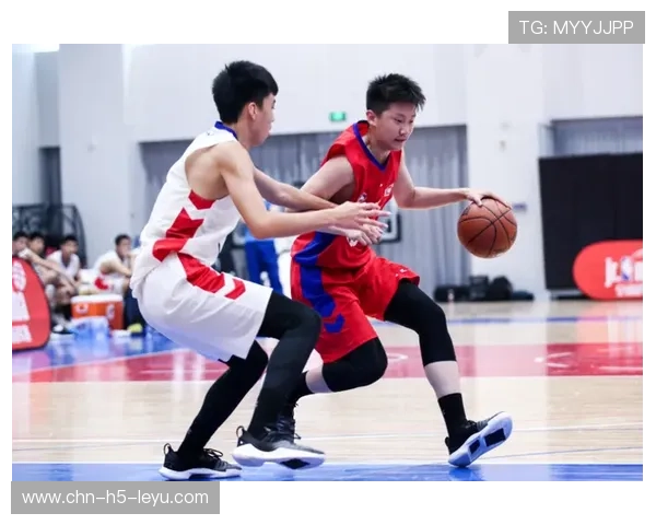 篮球运动员综合素质提升项目实施，篮球运动员综合素质评价